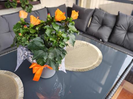 Narożnik z technorattanu 190x190cm z 3 pufami i stołem Torino Corner XL Anthracite