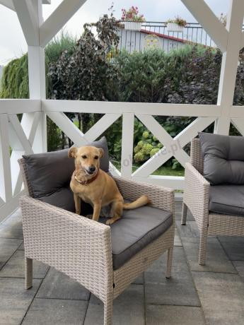 Narożnik z technorattanu ze stołem 120x70cm pufami i fotelem Perata Corner Light Grey