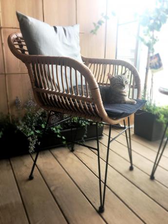 Meble na balkon w bloku z technorattanu boho