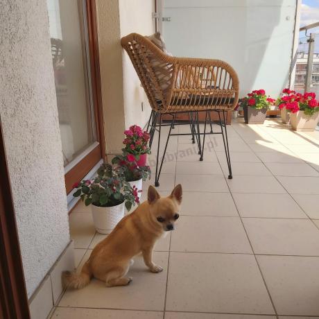 Meble na balkon w bloku z technorattanu boho