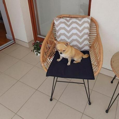 Meble na balkon w bloku z technorattanu boho