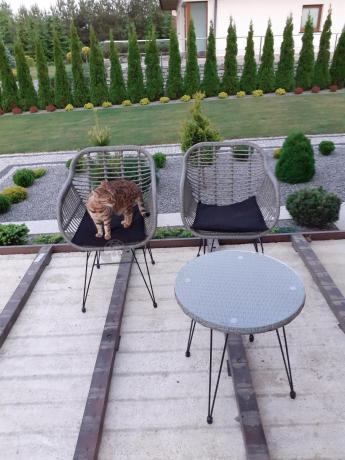 Szary zestaw rattanowy na balkon boho
