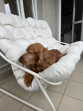 Nowoczesne meble na mały taras z sofą loveseat i stolikiem dla 4 osób - Aurea Cream
