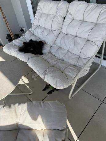 Nowoczesne meble na mały taras z sofą loveseat i stolikiem dla 4 osób - Aurea Cream