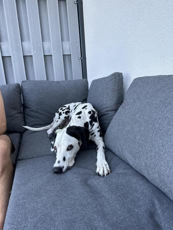 Nowoczesny grafitowy narożnik na taras 220x220cm Panaon Corner - DG