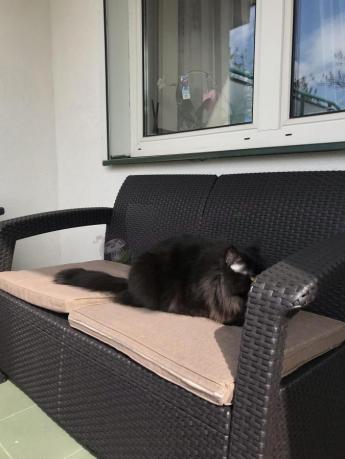 Sofa ogrodowa Corfu Love Seat - brązowa kanapa ogrodowa