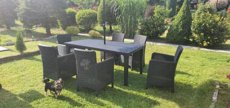 Stół z parasolem i fotele ogrodowe Meblobranie TF6 Plus grafit