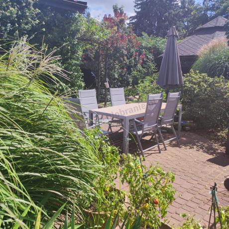 Szare meble ogrodowe - komplet stół i 8 regulowanych krzeseł - Kanbery Wood Silver 8+1