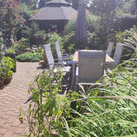 Szare meble ogrodowe - komplet stół i 8 regulowanych krzeseł - Kanbery Wood Silver 8+1