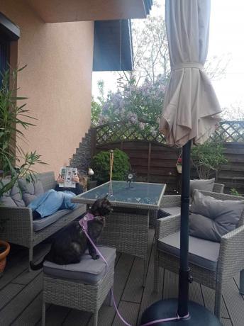 Szare meble ogrodowe technorattan ze stołem obiadowym i sofą Torino Dining