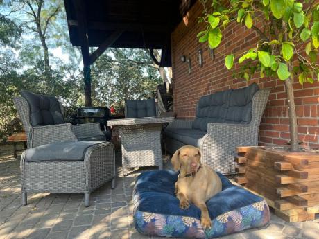 Szare meble technorattanowe na taras z regulowanymi fotelami Laritto Dining + pufy - Grey