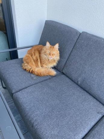 Szary komplet nowoczesnych mebli na taras Ater Dining - Dark Grey