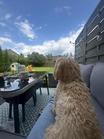 Szary narożnik na taras dla 8 osób z fotelem i pufami Postigo Corner XL