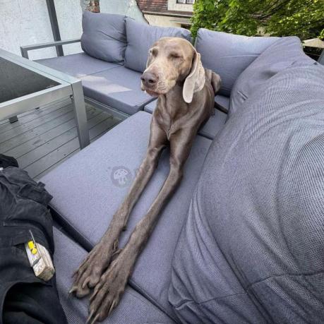 Szary narożnik na taras, stół 160cm i 2 pufy - Sodor Corner XL - Silver