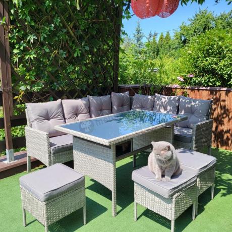 Szary narożnik technorattan 190x140cm ze stołem obiadowym i pufami Torino Corner Grey