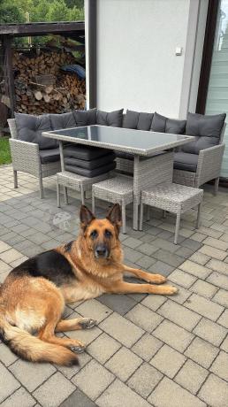 Szary narożnik z technorattanu 190x140cm ze stołem obiadowym i pufami Torino Corner Grey