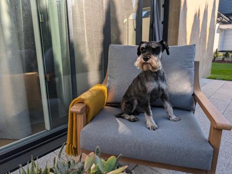 Szary zestaw mebli ogrodowych dla 5 osób z sofą 200cm - Else Set - Grey