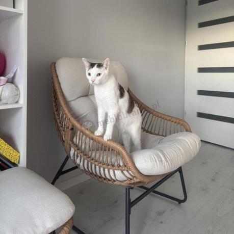 Technorattanowe meble na taras w stylu boho - 2 fotele z podnóżkami - Torgiano Duo - Brown