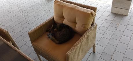 Technorattanowy narożnik z wysokim stołem, fotelem i pufami Perata Corner – Natural