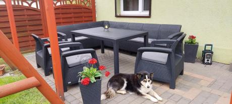 Zestaw dla 10 osób z narożnikiem, stołem obiadowym i trzema fotelami Rellme VII grafitowy