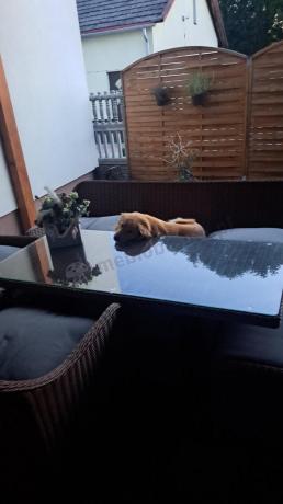 Zestaw mebli na taras dla 7 osób z sofą 180cm Novici Dining Brown