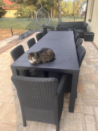 Zestaw mebli obiadowych do ogrodu dla 10 osób z dużym stołem Meblobranie TJD10 grafit