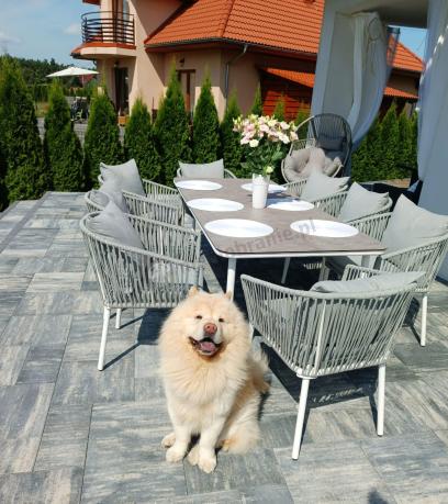 Zestaw mebli ogrodowych - stół 210cm + 8 krzeseł - Kostto Dining 8+1 White