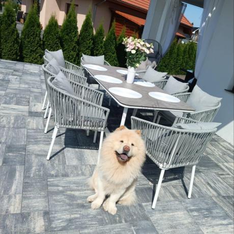 Zestaw mebli ogrodowych - stół 210cm + 8 krzeseł - Kostto Dining 8+1 White