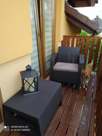 Corfu Weekend brązowy