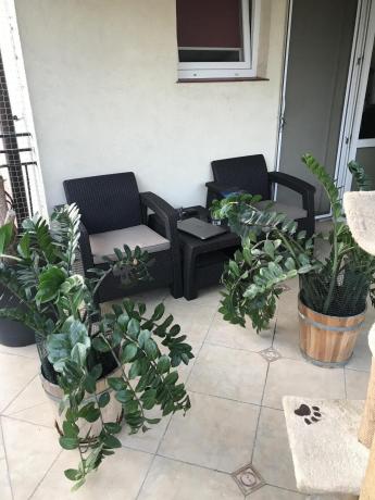 Corfu Weekend brązowy