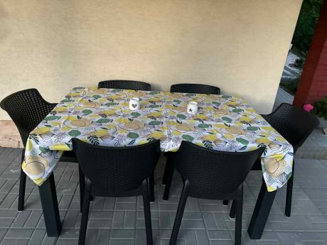 Zestaw mebli ogrodowych obiadowych dla 10 osób Meblobranie EJD10 grafit