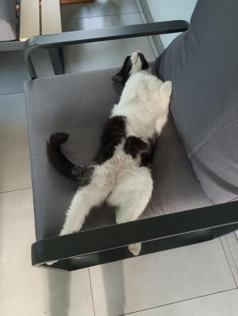 Zestaw mebli ogrodowych z narożnikiem i dwoma fotelami - Panaon Corner - WG