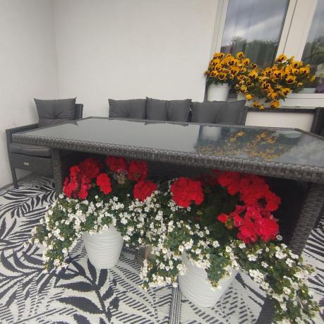 Zestaw mebli ogrodowych z technorattanu z sofą 140cm i fotelami Torino Dining antracyt