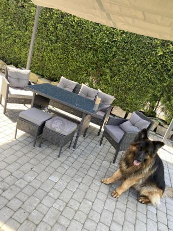 Zestaw mebli ogrodowych z technorattanu z sofą 140cm i fotelami Torino Dining antracyt