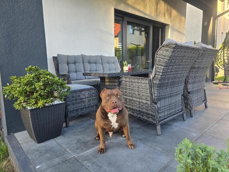 Zestaw mebli technorattanowych z regulowanymi fotelami Laritto Dining - Antracite