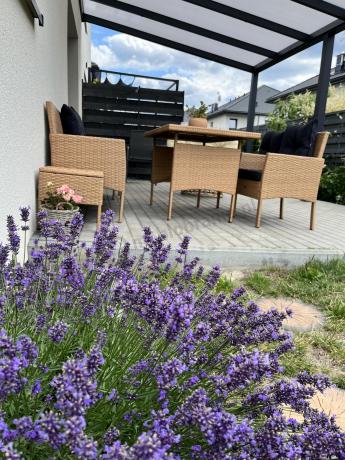 Zestaw mebli z technorattanu na taras Torino Dining – Yellow