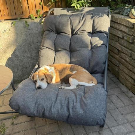Zestaw ogrodowy Aurea 4-os. na balkon i taras – sofa, 2 fotele, stolik, poduszki 10 cm, antracyt
