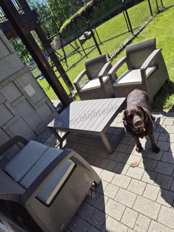 Zestaw ogrodowy Corfu Set Lyon Cappuccino Keter Curver