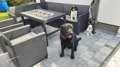 Zestaw ogrodowy dla 8 osób narożnik Nedler VI, stół podnoszony i dwa fotele - grafit