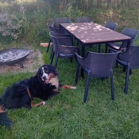 Zestaw ogrodowy Portis Slim dla 8 osób ze stołem 160cm w kolorze orzecha i fotelami