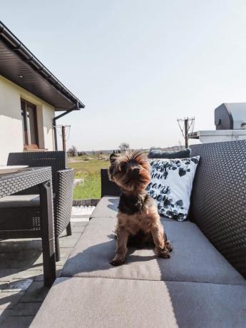 Zestaw ogrodowy z podnoszonym stolikiem