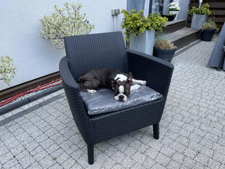 Zestaw ogrodowy z podnoszonym stolikiem