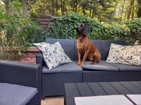 Zestaw ogrodowy ze stołem podnoszonym K3L grafit