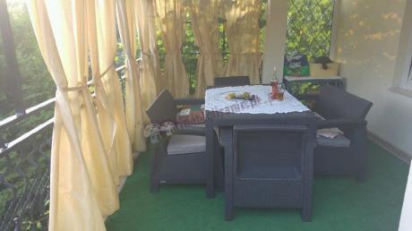 Corfu Fiesta brąz