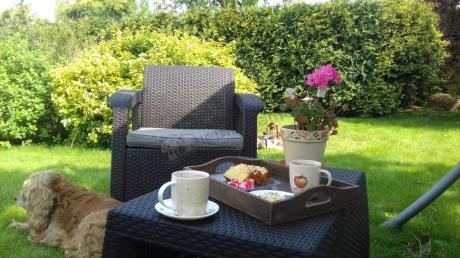 Corfu Weekend brązowy