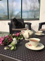 Aranżacja: Arica Rattan Table stolik do ogrodu ze skrzynią brązowy