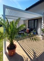 Aranżacja: Biała pergola tarasowa 4x4 Lufel aluminium
