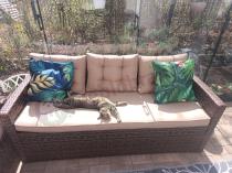 Aranżacja: Brązowa sofa ogrodowa z technorattanu 177cm Topiano – Carmel