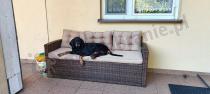 Aranżacja: Brązowa sofa ogrodowa z technorattanu 177cm Topiano – Carmel