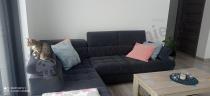 Aranżacja: Ciemny szary narożnik Selva L 263x223 cm Matt Velvet 97 lewy